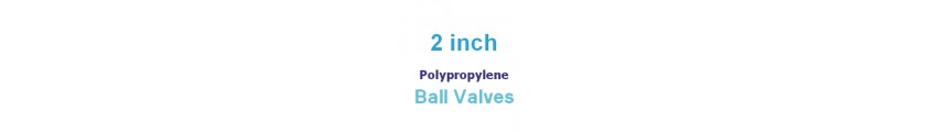 Polypropylene 2 inch Valves